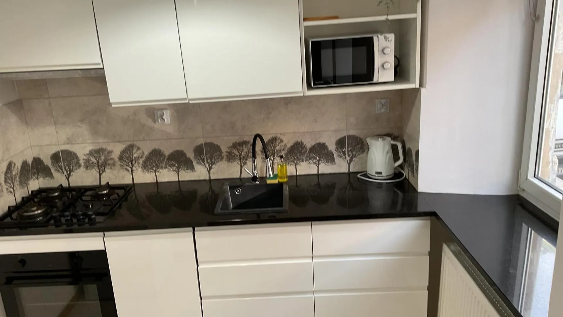 Omorika Na Zamkowej Apartment Krakow