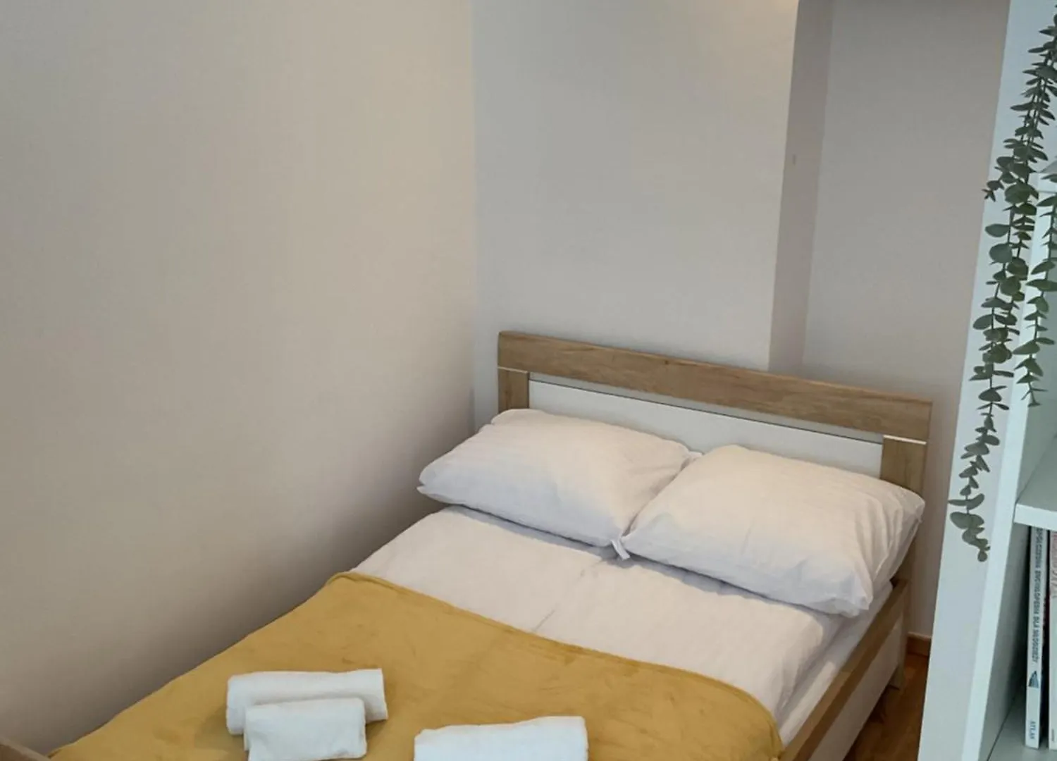 Omorika Na Zamkowej Apartment Krakow